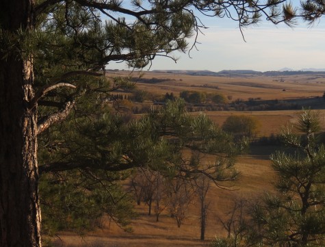 One of the many amazing views captured at Castlewood Canyon.