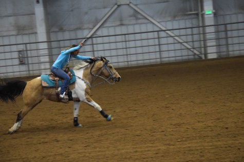 The horse, with beauty unsurpassed, strength immeasurable and grace unlike any other, still remains humble enough to carry a man upon his back.-Amber Senti