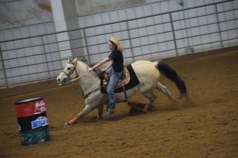 Cowgirl up, because the buckle don't shine in the dust! -Unknown