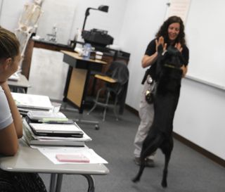Bomb-sniffing Dog visits GD Forensics Class